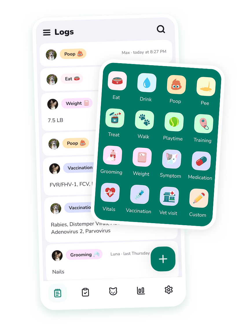 app mockup